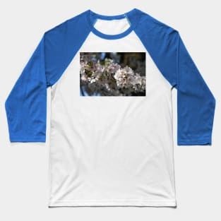 Cherry Blossoms Baseball T-Shirt